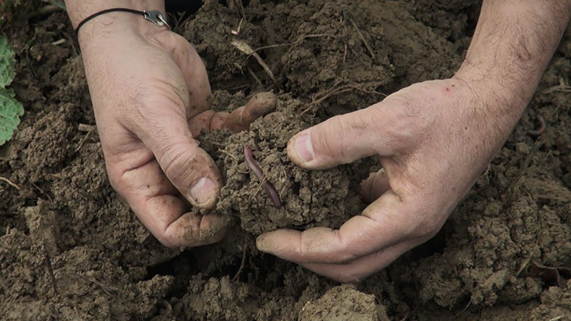 Débat – Prendre soin de la Terre