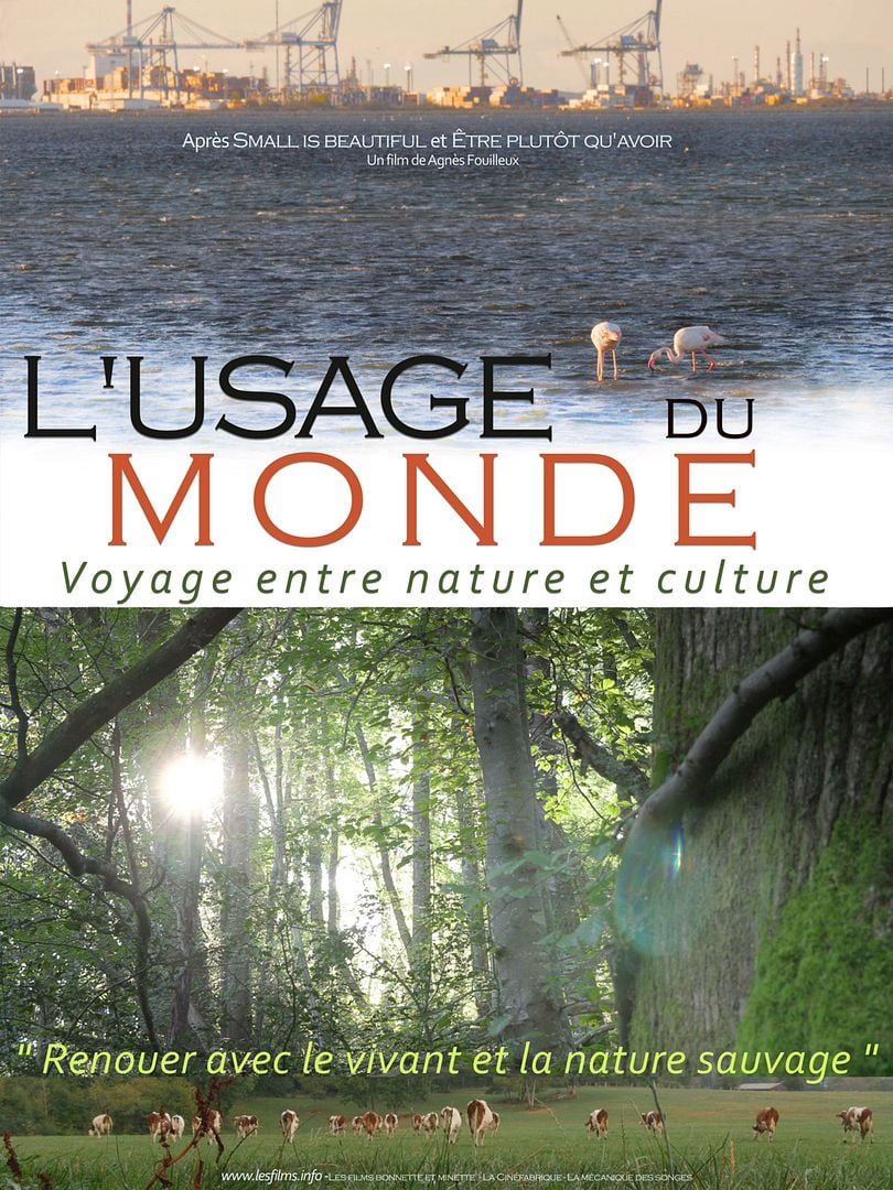 L'Usage du Monde